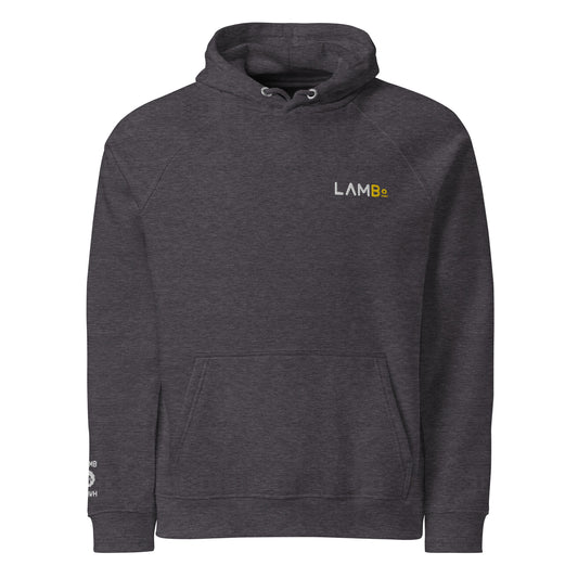 Lamb of YHWH Branded Eco Raglan Hoodie | Sustainable Faith Apparel