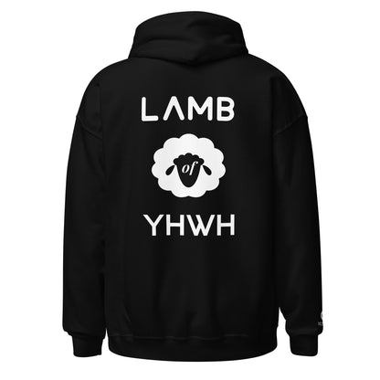 Lamb of YHWH 'Vanity' Hoodie - Ecclesiastes 1:14 Christian Apparel