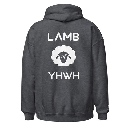 Lamb of YHWH 'Vanity' Hoodie - Ecclesiastes 1:14 Christian Apparel