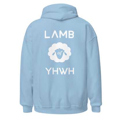 Lamb of YHWH 'Vanity' Hoodie - Ecclesiastes 1:14 Christian Apparel