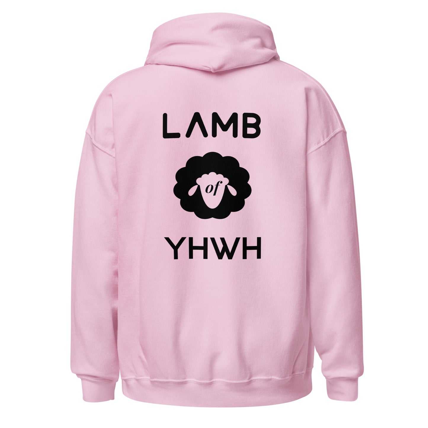 YHWH Not My Way Hoodie  (Light Colors) - Isaiah 55:8-9 Christian Apparel