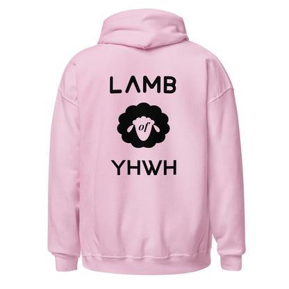 YHWH Not My Way Hoodie  (Light Colors) - Isaiah 55:8-9 Christian Apparel