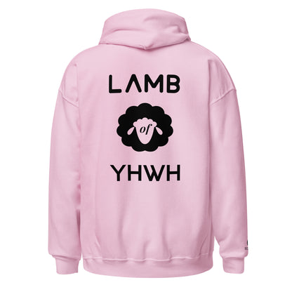 Lamb of YHWH 'Vanity' Hoodie (light Colors) - Ecclesiastes 1:14 Christian Apparel