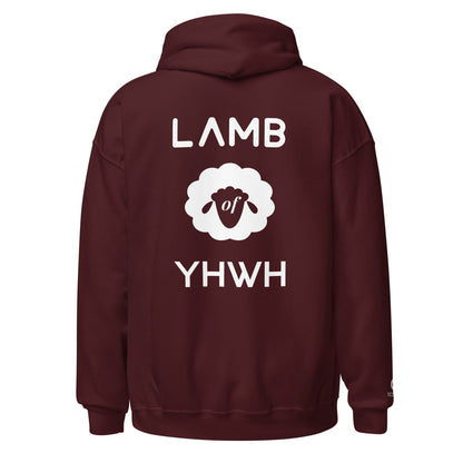 Lamb of YHWH 'Vanity' Hoodie - Ecclesiastes 1:14 Christian Apparel