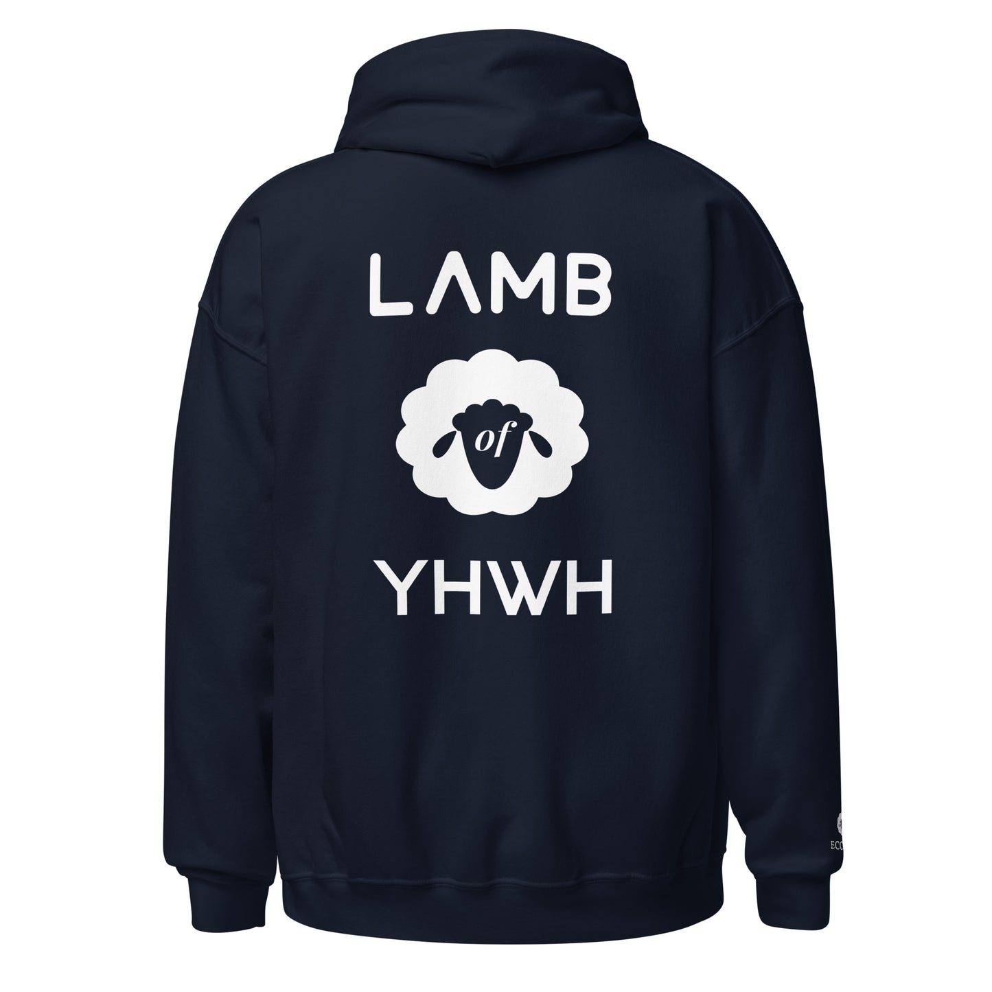 Lamb of YHWH 'Vanity' Hoodie - Ecclesiastes 1:14 Christian Apparel