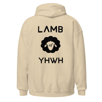 Lamb of YHWH 'Vanity' Hoodie (light Colors) - Ecclesiastes 1:14 Christian Apparel